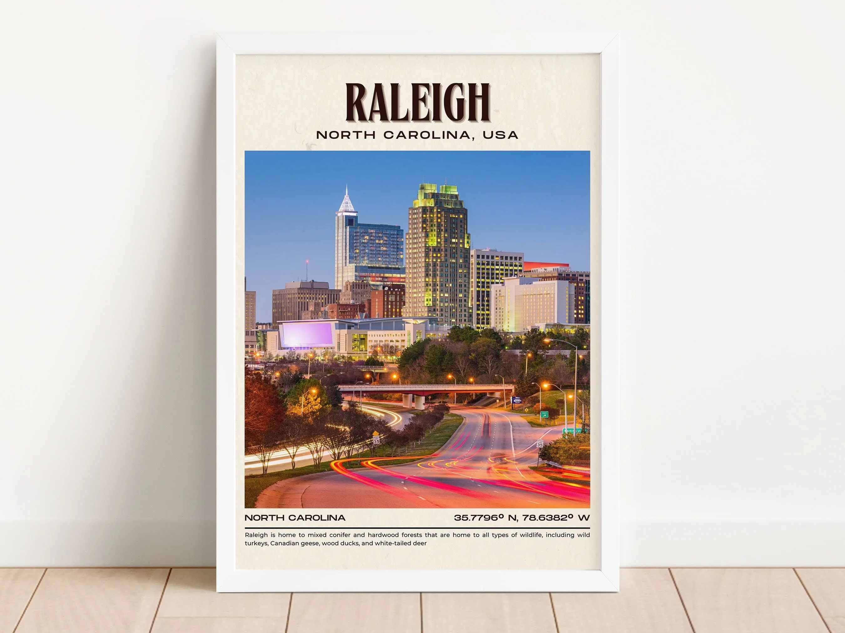 Raleigh Vintage Wall Art, North Carolina, USA