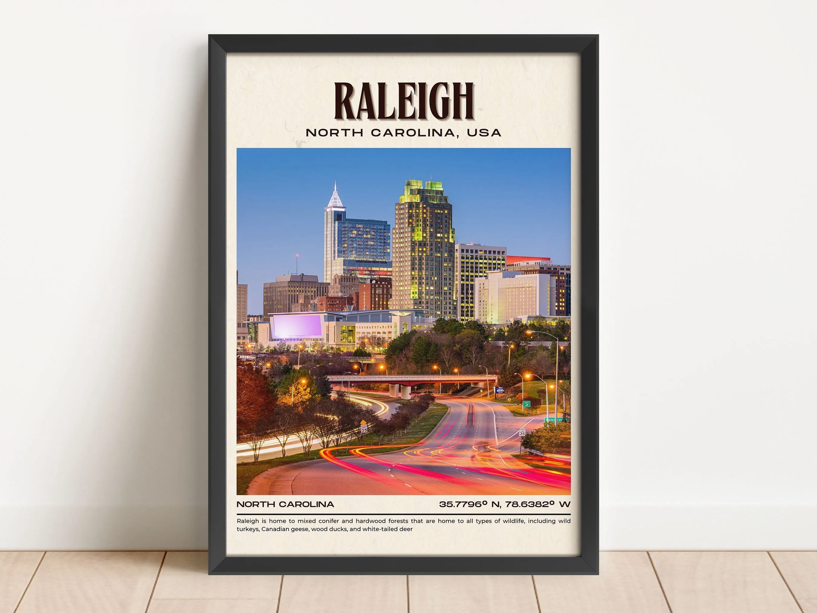 Raleigh Vintage Wall Art, North Carolina, USA