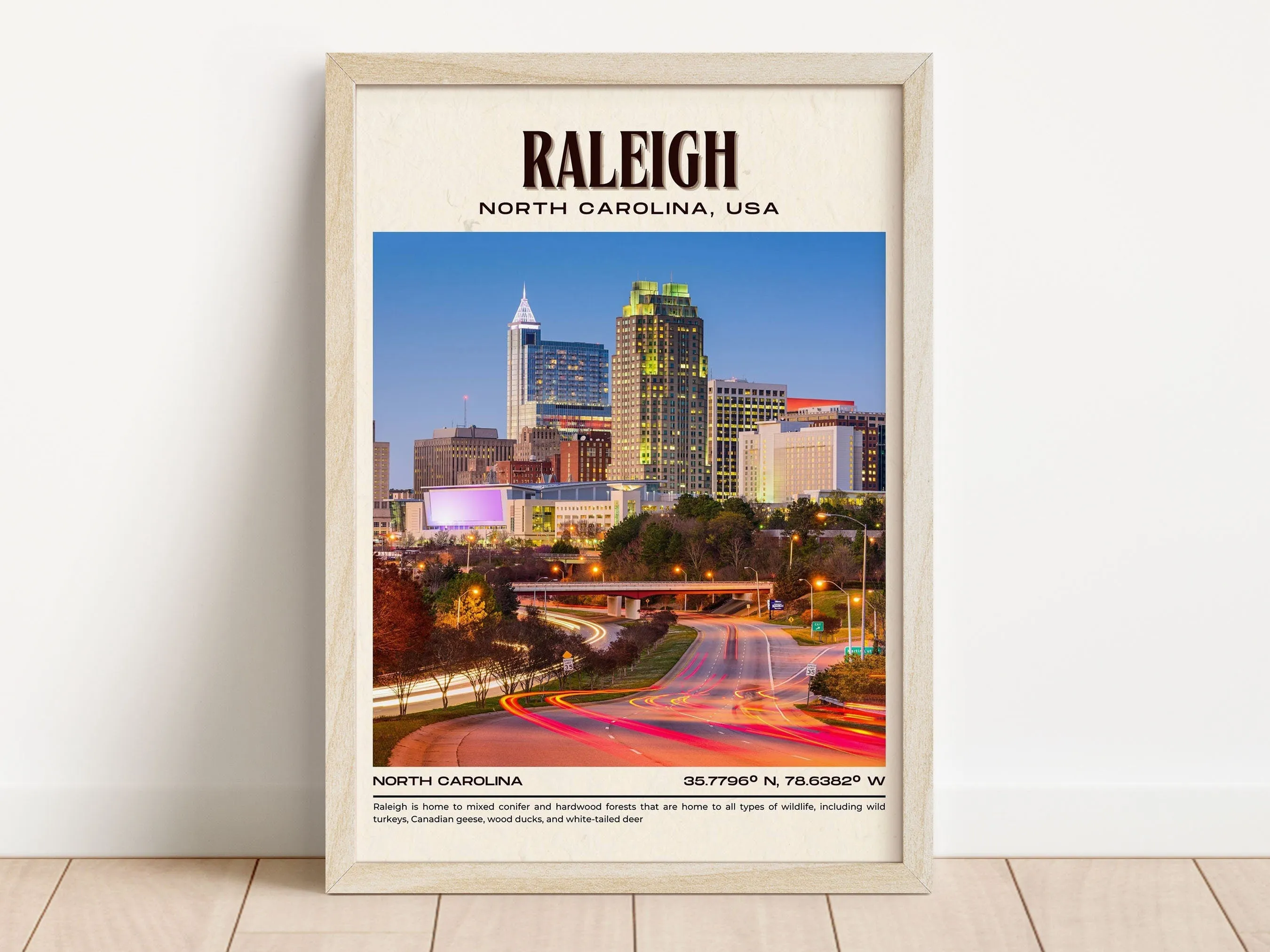 Raleigh Vintage Wall Art, North Carolina, USA