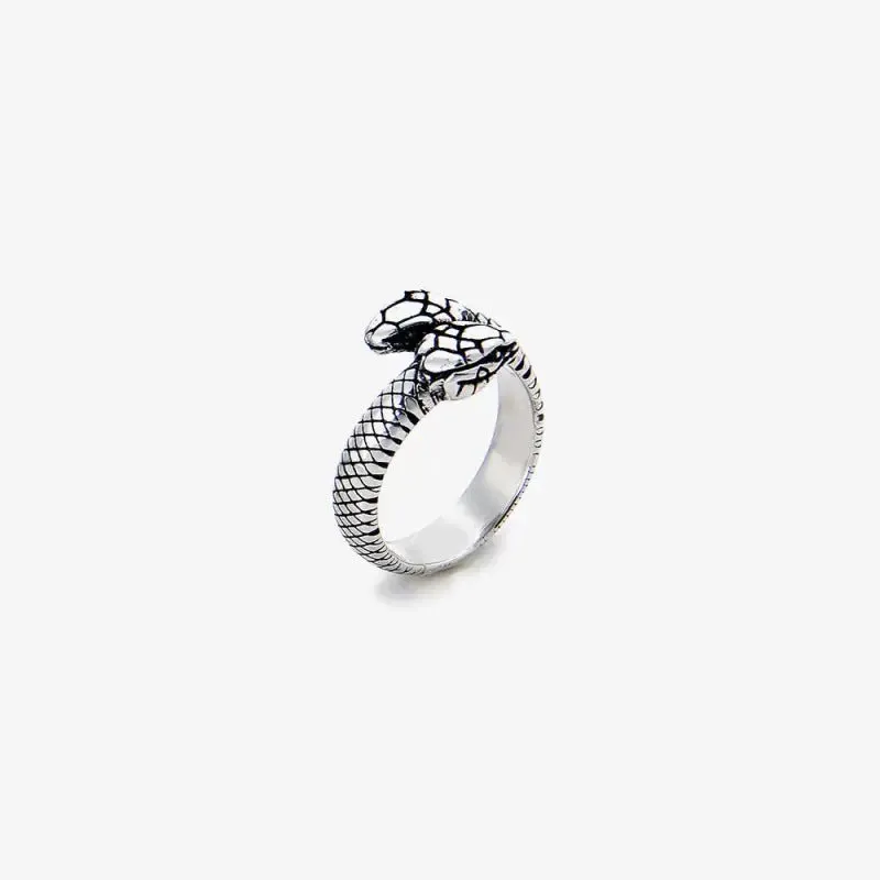 Ring Wrapping Snake Titanium Steel Ring - Unique Double Head Design