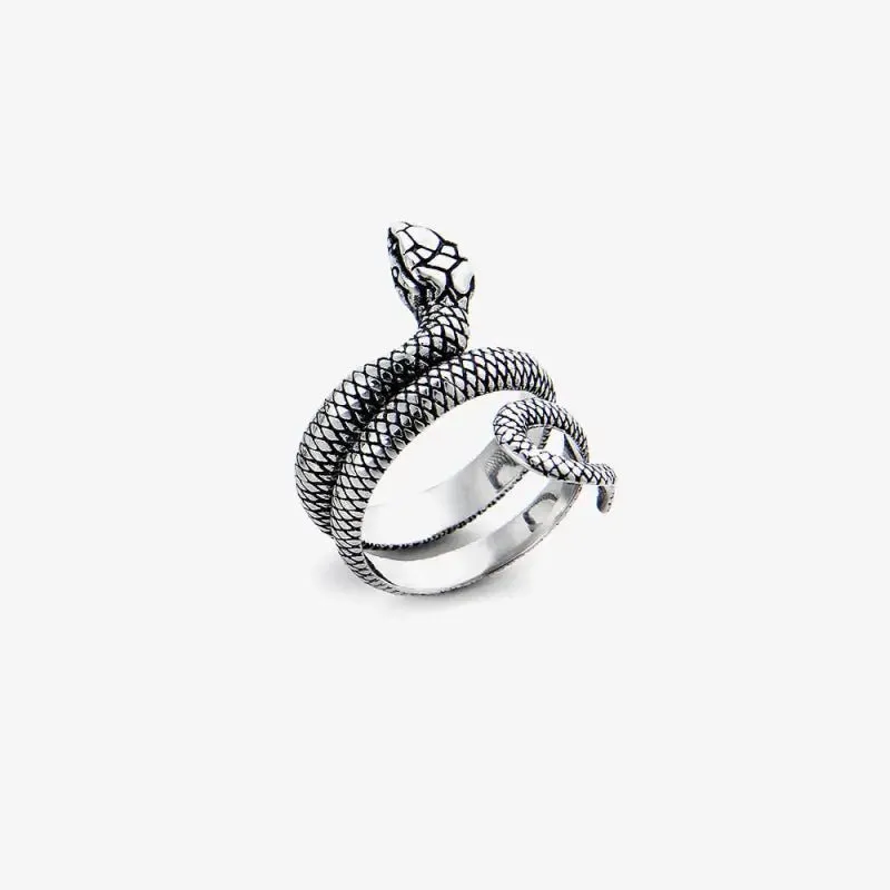 Ring Wrapping Snake Titanium Steel Ring - Unique Double Head Design