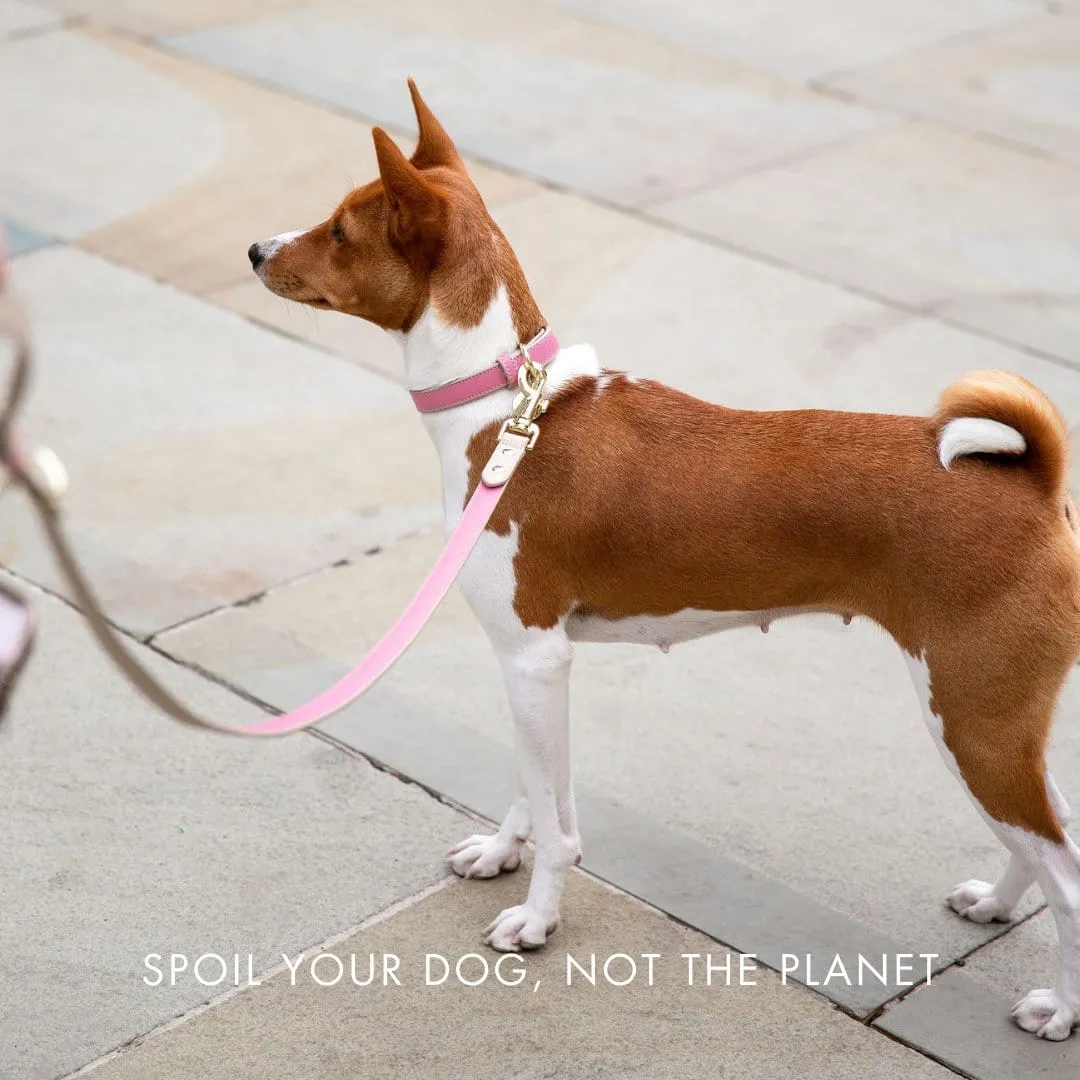 Rio Vegan Leather Dog Collar | Multiple Colours