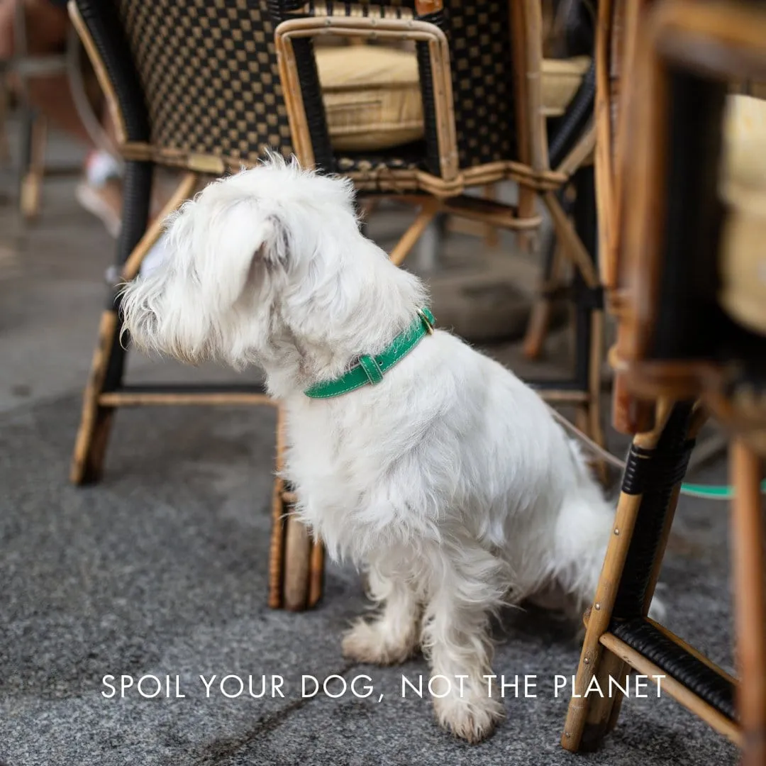 Rio Vegan Leather Dog Collar | Multiple Colours