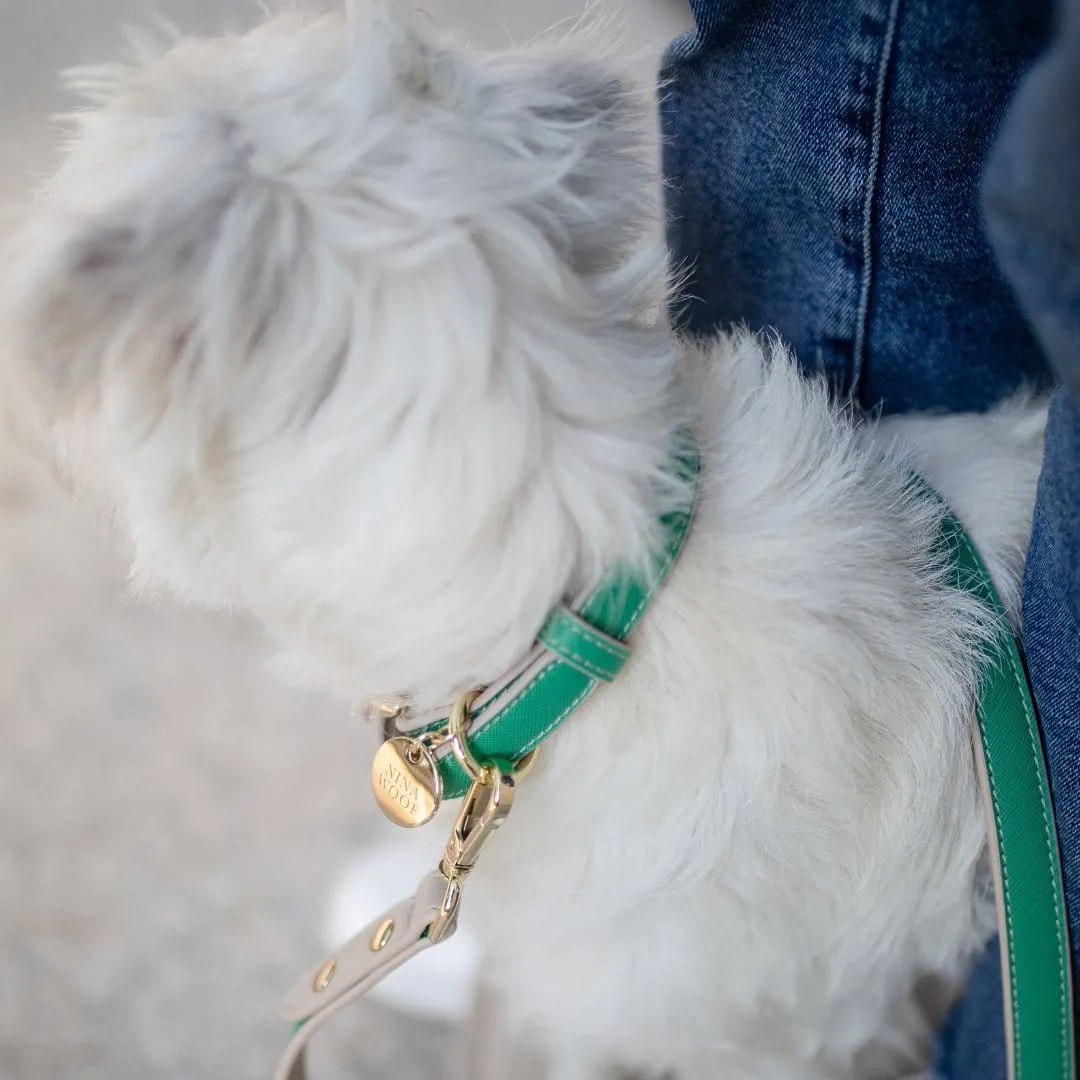 Rio Vegan Leather Dog Collar | Multiple Colours