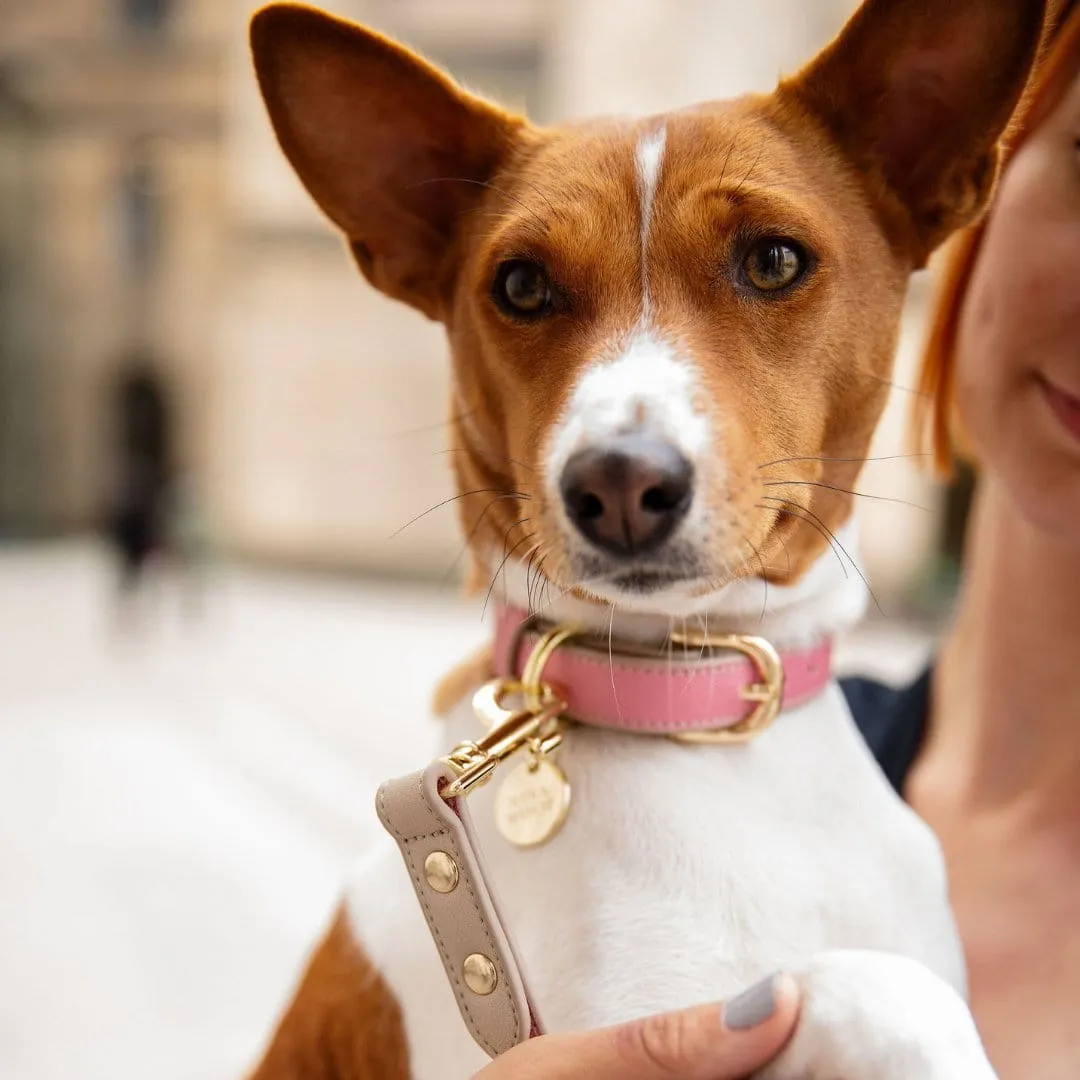 Rio Vegan Leather Dog Collar | Multiple Colours
