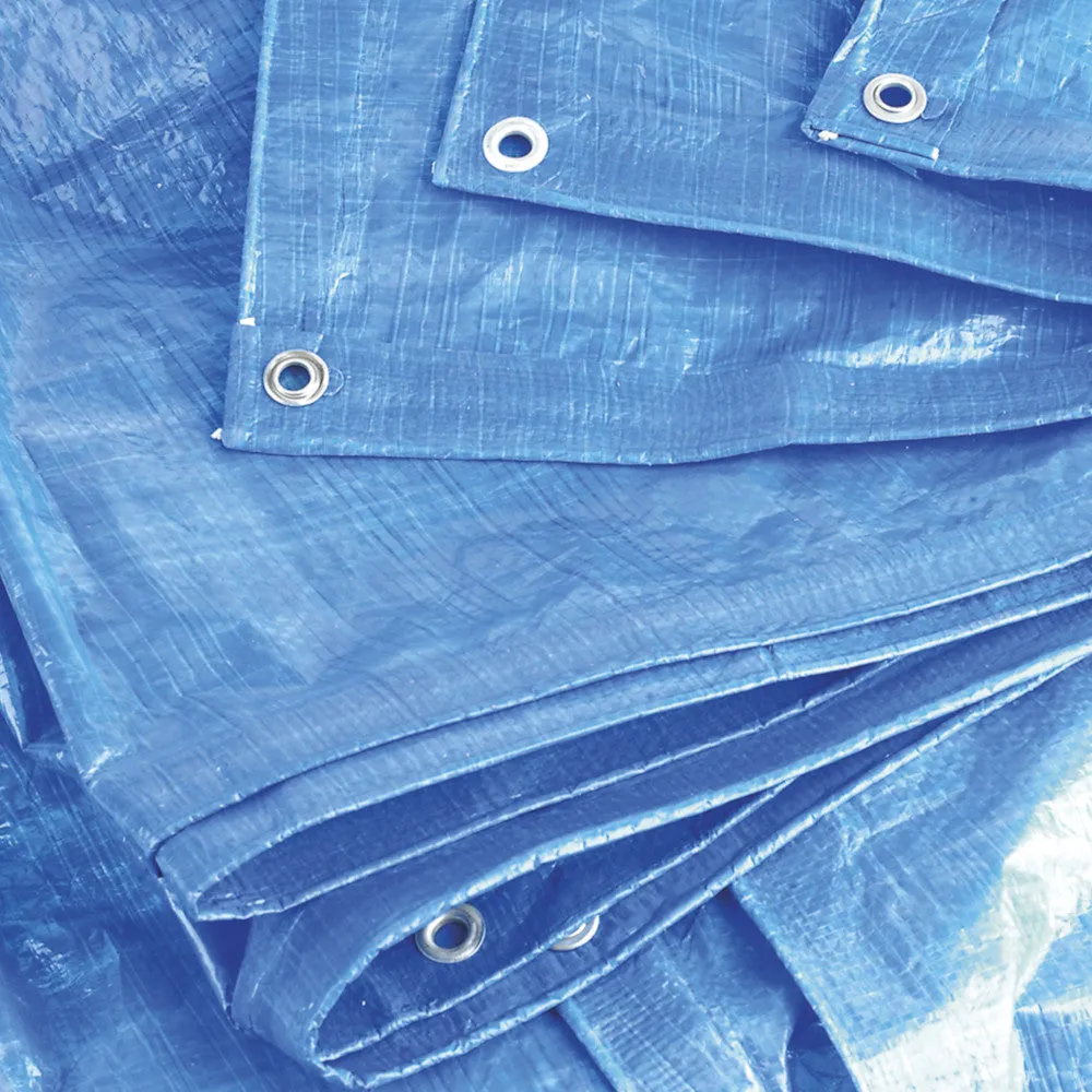 Sealey Laminated Tarpaulin 3.66 x 4.88m - Blue - A
