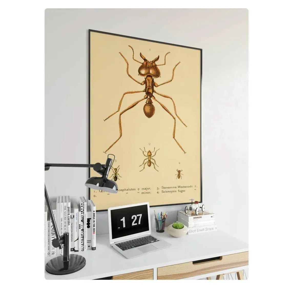Vintage Ants Poster Print
