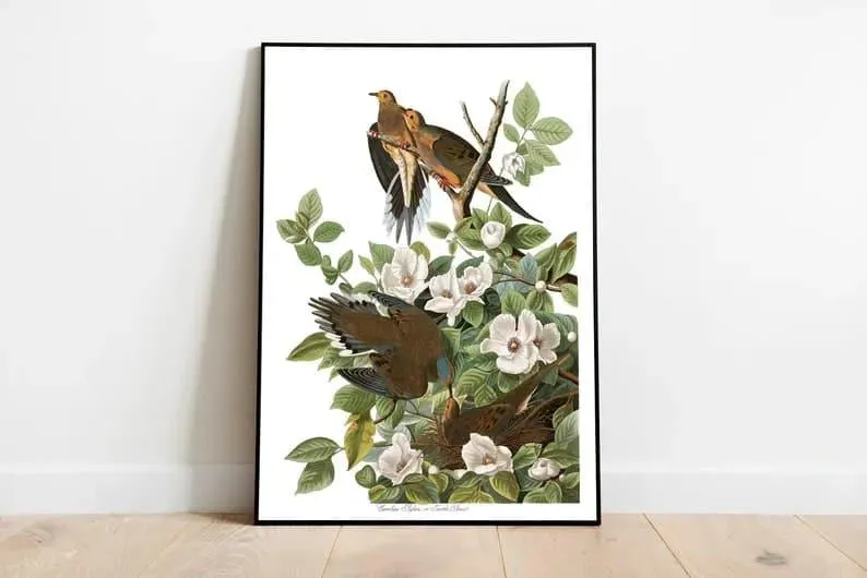 Vintage Bird Art Print| Bird Poster