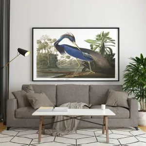 Vintage Bird Art Prints| Bird Poster