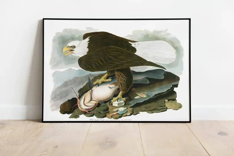 Vintage Bird Art Prints| Bird Poster