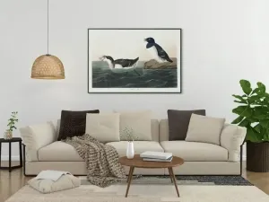 Vintage Bird Art Prints| Bird Poster