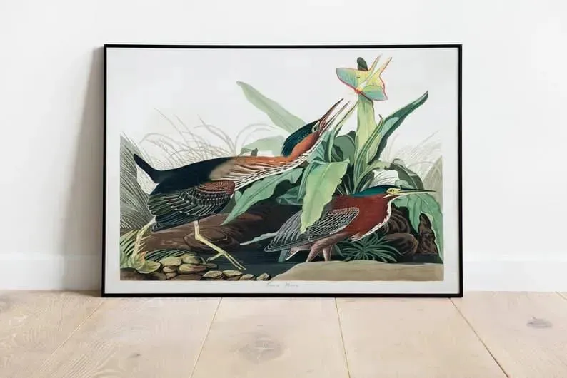 Vintage Bird Art Prints| Bird Poster
