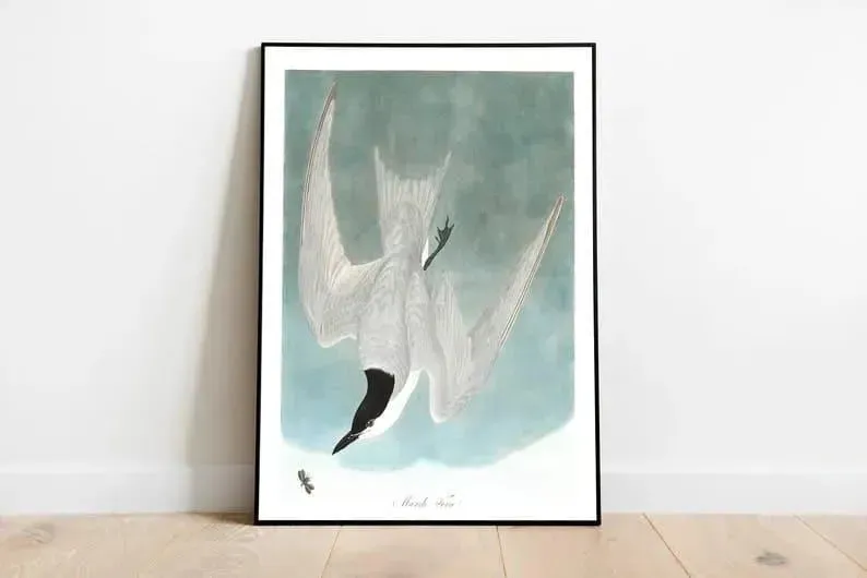 Vintage Bird Art Prints| Bird Poster
