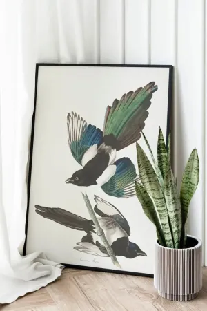 Vintage Bird Art Prints| Bird Poster