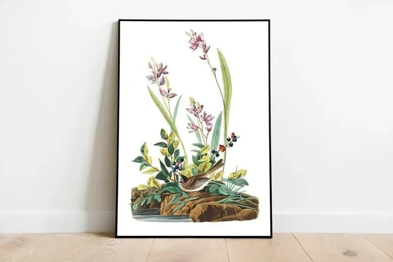 Vintage Bird Art Prints| Bird Poster