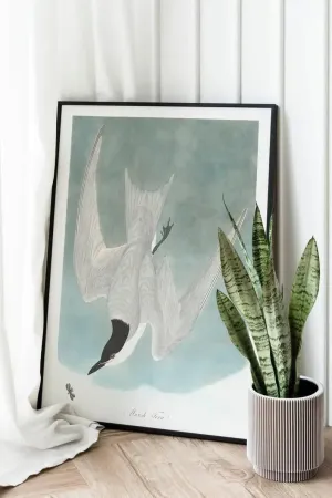 Vintage Bird Art Prints| Bird Poster