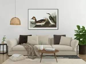 Vintage Bird Art Prints| Bird Poster