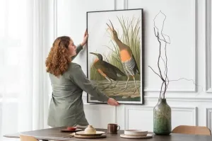 Vintage Bird Art Prints| Bird Poster
