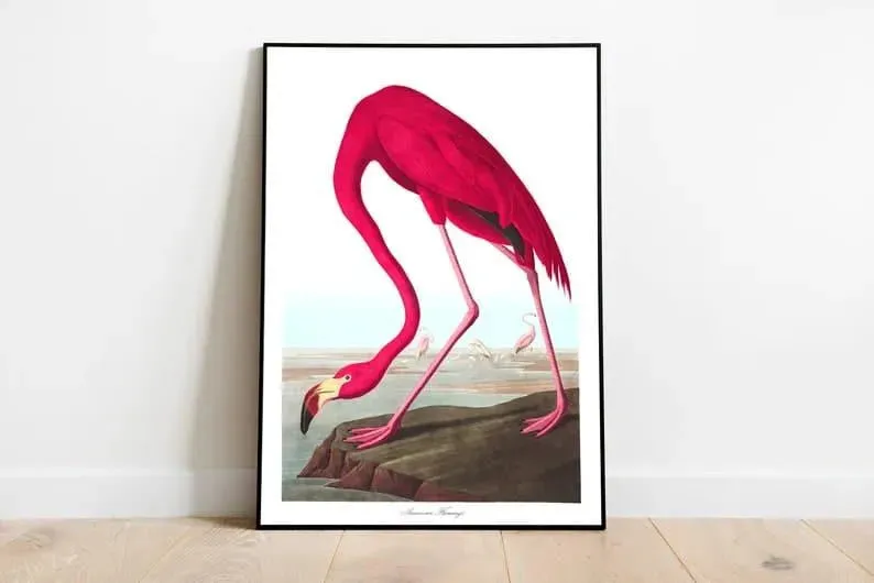 Vintage Bird Art Prints| Bird Poster