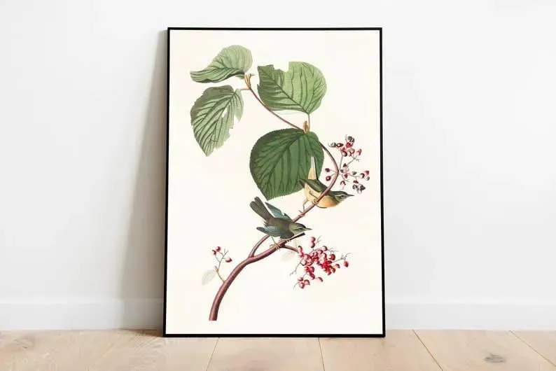 Vintage Bird Art Prints| Bird Poster