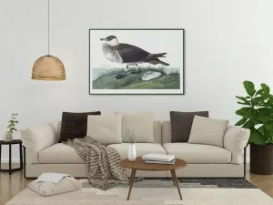 Vintage Bird Art Prints| Bird Poster