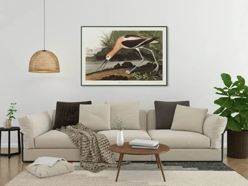 Vintage Bird Art Prints| Bird Poster