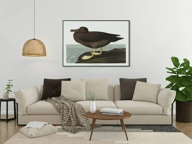 Vintage Bird Art Prints| Bird Poster