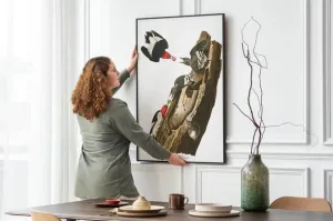 Vintage Bird Art Prints| Bird Poster