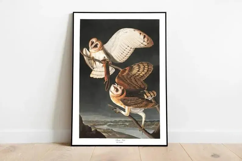 Vintage Bird Art Prints| Bird Poster