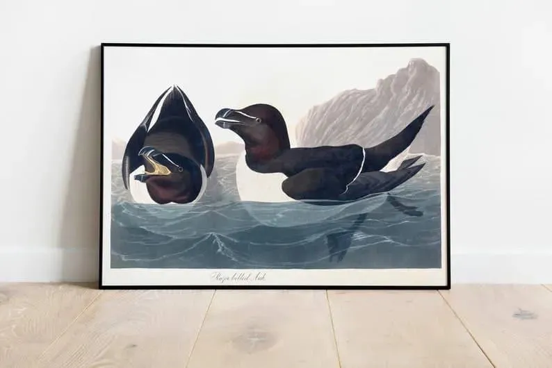 Vintage Bird Art Prints| Bird Poster