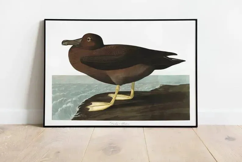 Vintage Bird Art Prints| Bird Poster