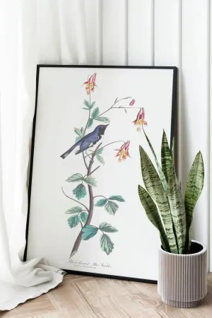 Vintage Bird Art Prints| Bird Poster