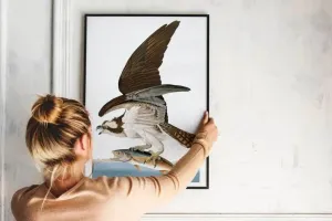 Vintage Bird Art Prints| Bird Poster