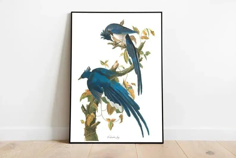 Vintage Bird Art Prints| Bird Poster