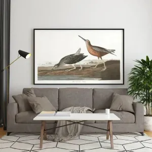 Vintage Bird Art Prints| Bird Poster
