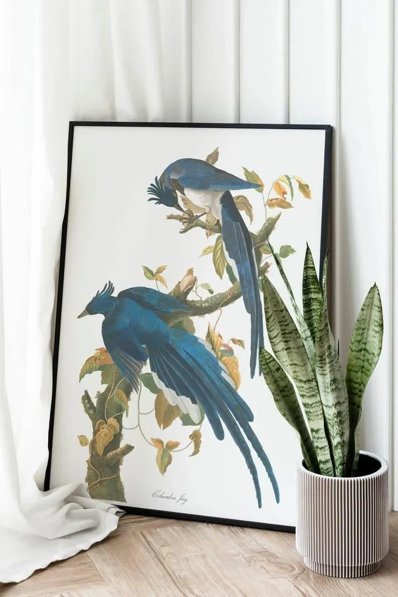 Vintage Bird Art Prints| Bird Poster