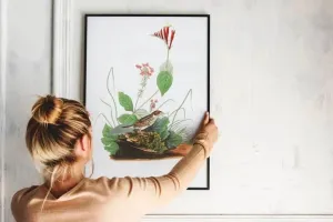 Vintage Bird Art Prints| Bird Poster