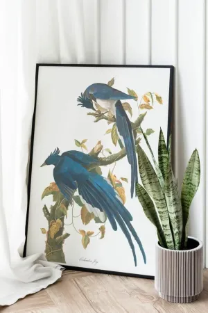 Vintage Bird Art Prints| Bird Poster
