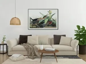Vintage Bird Art Prints| Bird Poster