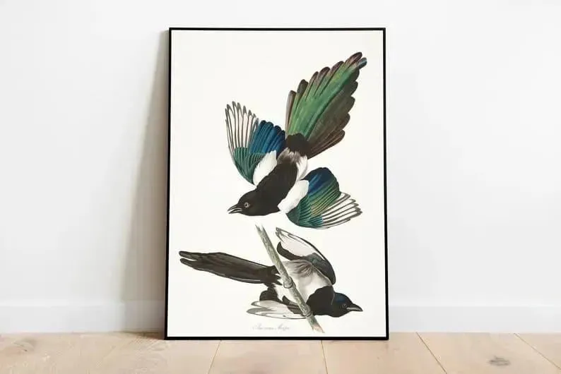 Vintage Bird Art Prints| Bird Poster