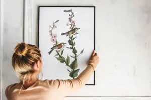 Vintage Bird Art Prints| Bird Poster