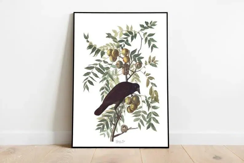 Vintage Bird Art Prints| Bird Poster