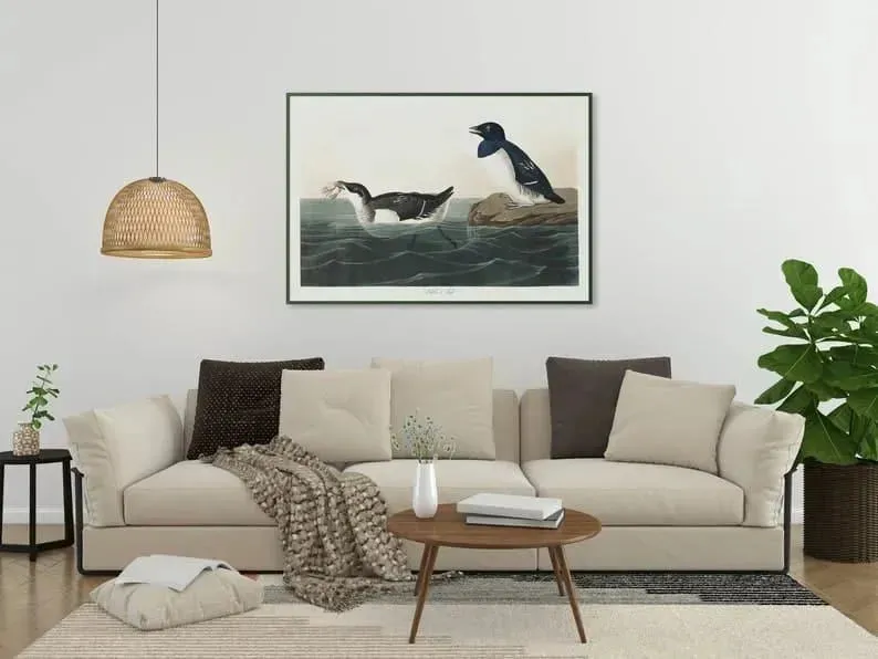 Vintage Bird Art Prints| Bird Poster