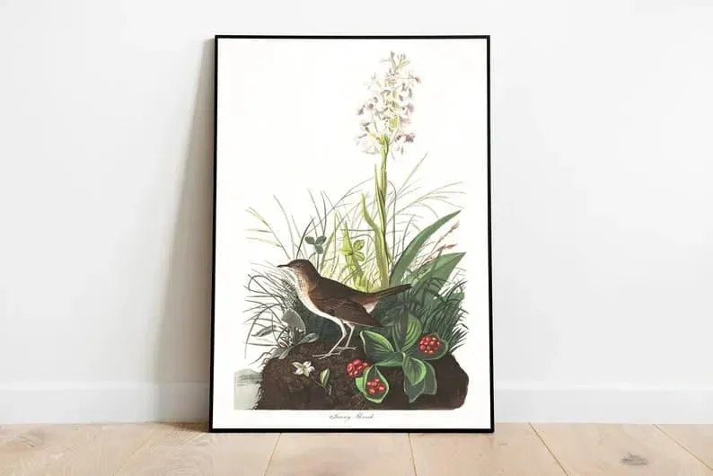 Vintage Bird Art Prints| Bird Poster