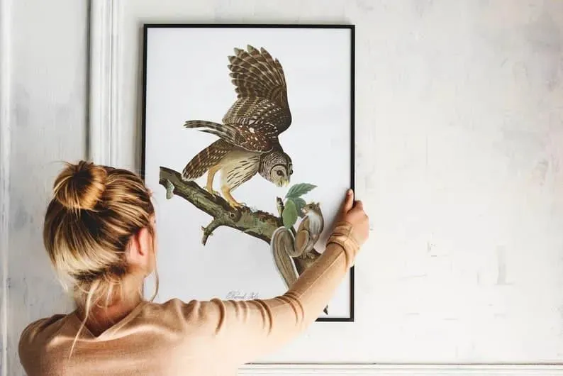 Vintage Bird Art Prints| Bird Poster