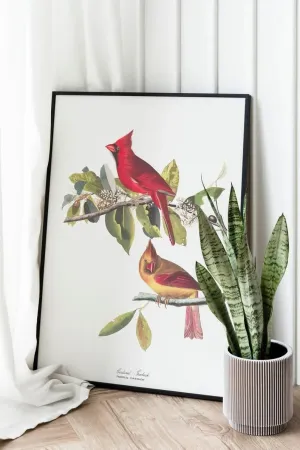 Vintage Bird Art Prints| Bird Poster