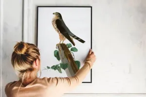 Vintage Bird Art Prints| Bird Poster