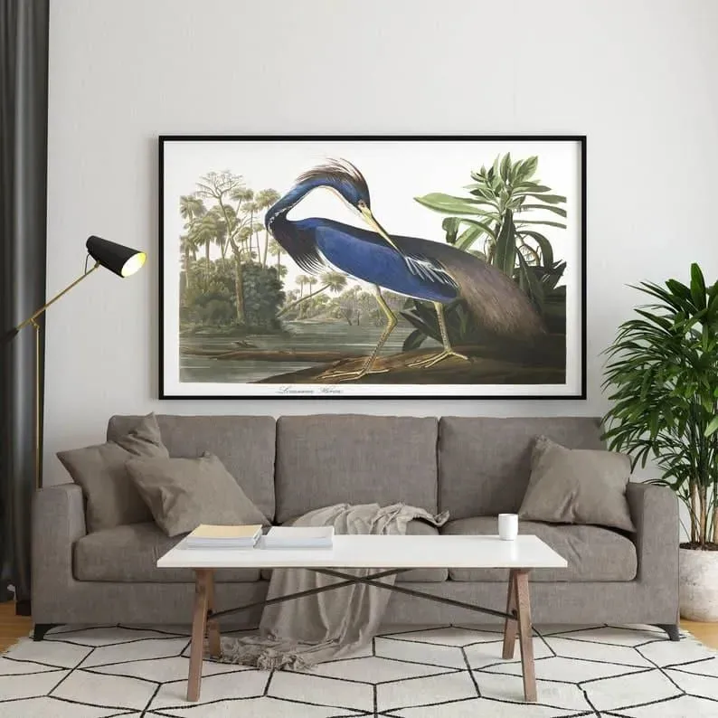Vintage Bird Art Prints| Bird Poster