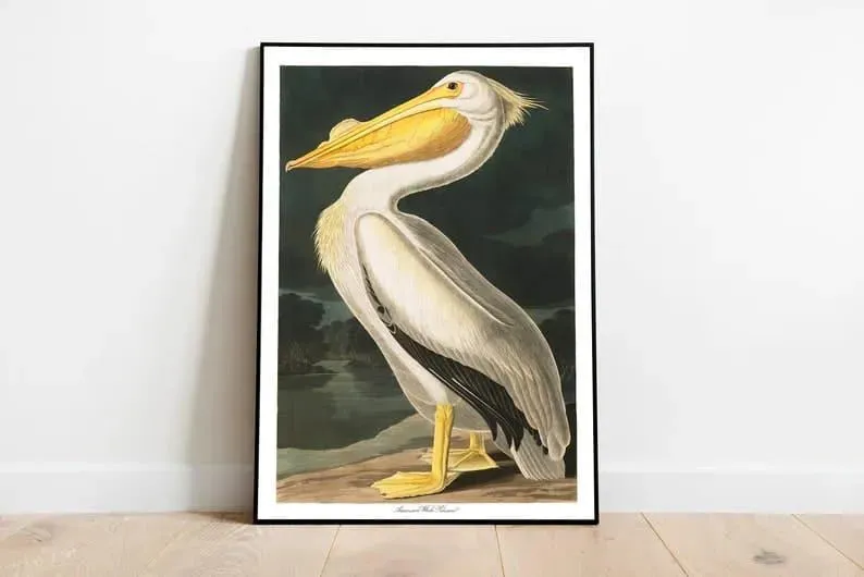 Vintage Bird Art Prints| Bird Poster