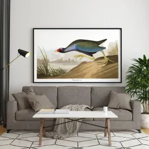Vintage Bird Art Prints| Bird Poster